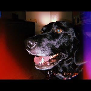 Meet your Posher, Ariana